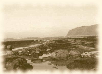 [The beach below the cliffs]